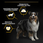 Pro Plan Adult All Sizes Light/Sterilised Pescado Blanco pienso para perros, , large image number null